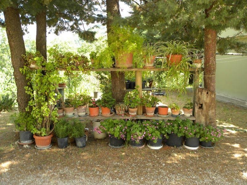 Agriturismo Col Cacione Assisi Exteriör bild