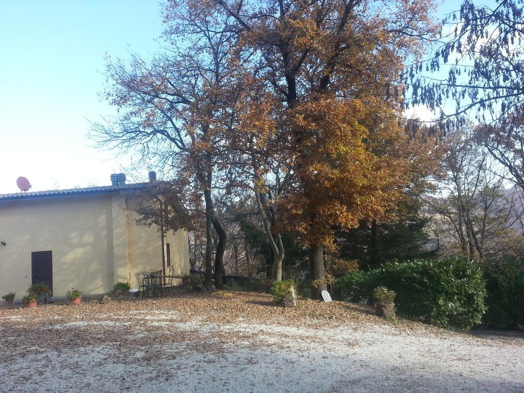 Agriturismo Col Cacione Assisi Exteriör bild